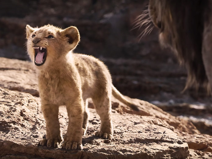 The roar of a king, or just a meow?