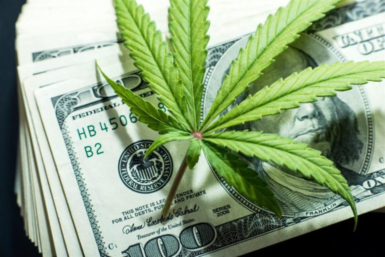 Marijuana Cultivation Search Warrant
