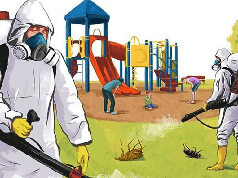 Parents Complain About Pesticides Used To Clean Weeds At School