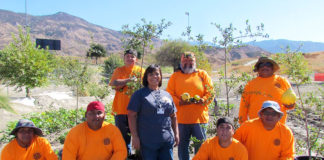 The Hemet & San Jacinto - Soboba Community Garden Grows