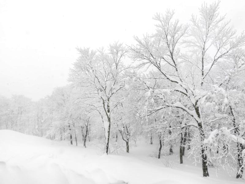 California And The Northeast Are Hit With Major Winter Storms - The ...