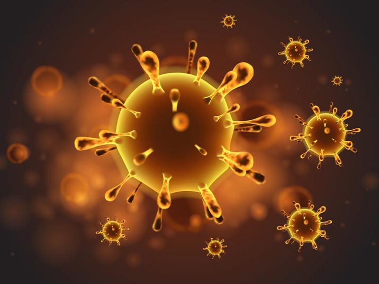 US virus deaths hit record levels with the holidays ahead