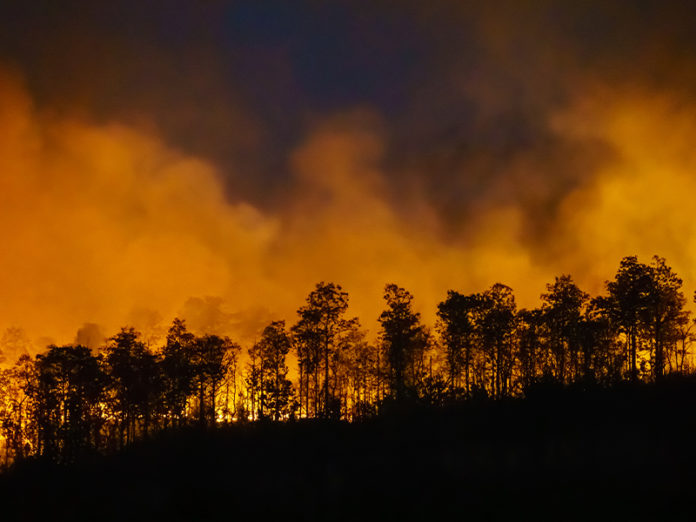 wildfire