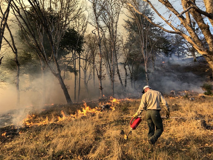 California_Cattlemens_Association_Wildfires