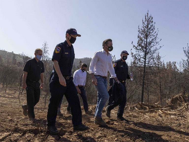 Governor Newsom Signs Landmark $536 Million Wildfire Package Accelerating Projects to Protect High-Risk Communities