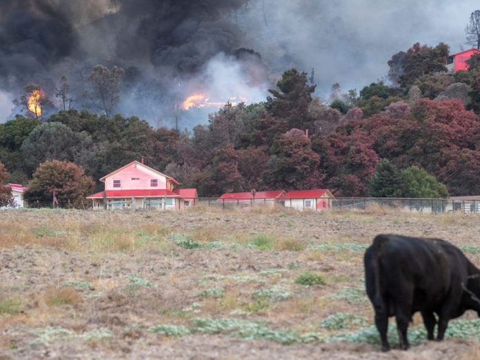 Fire Risk