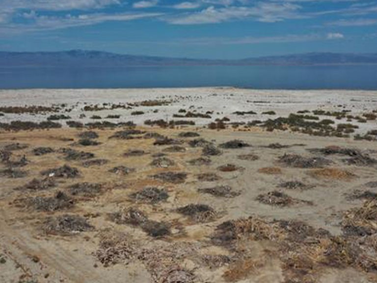 Salton Sea Receding Amid California’s Worst Drought Since 1977