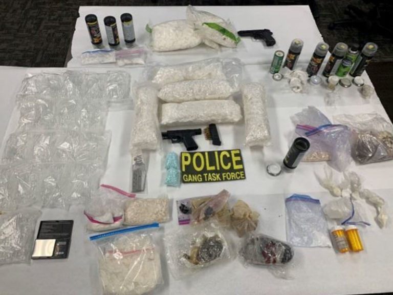 Search Warrants Result in Large Drug Seizure and Firearm
