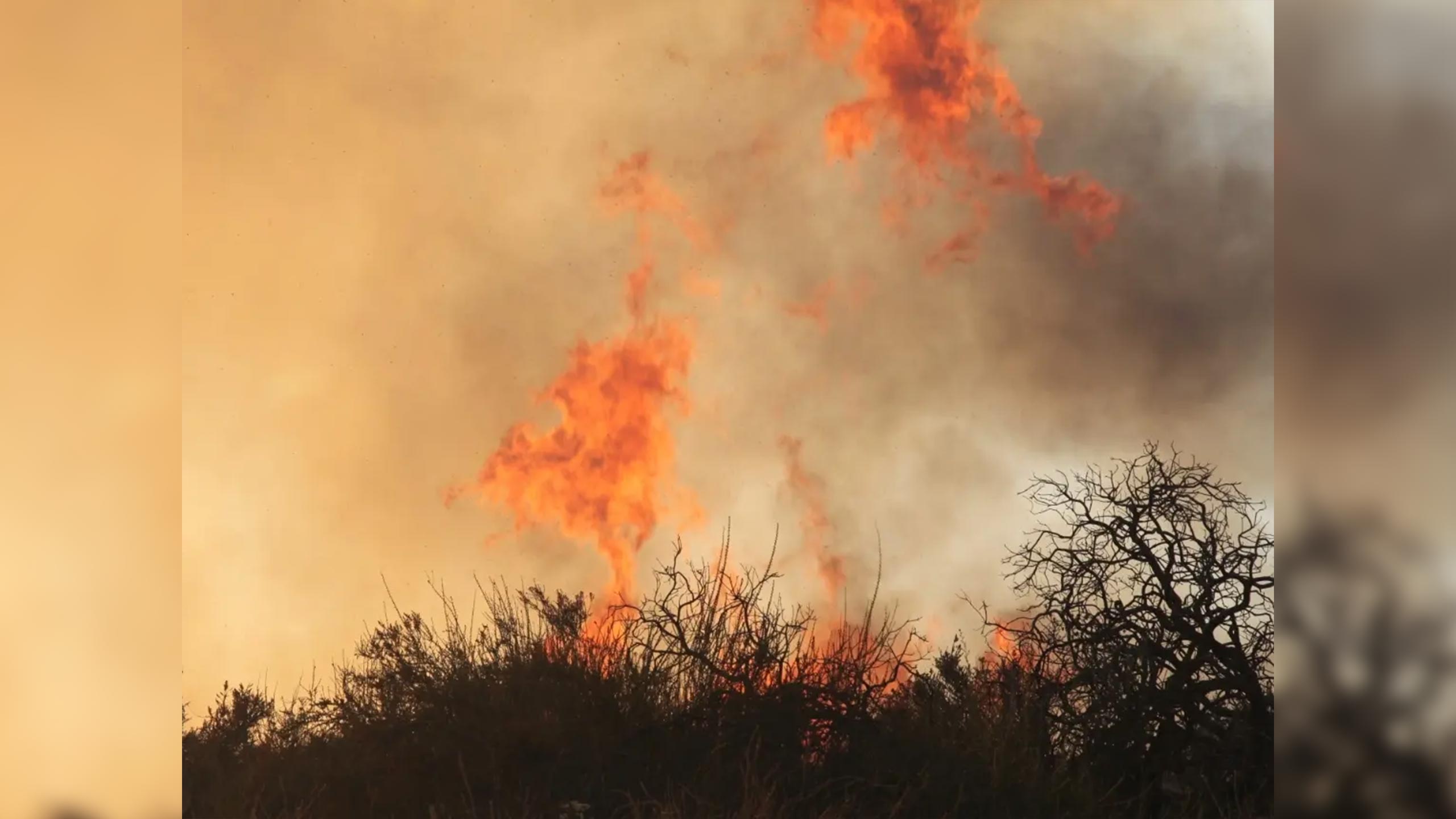 ‘Human-Caused’ Brush Fire in San Jacinto Prompts Evacuation Warnings ...