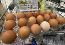Trump administration sues California over egg prices and blames animal welfare laws