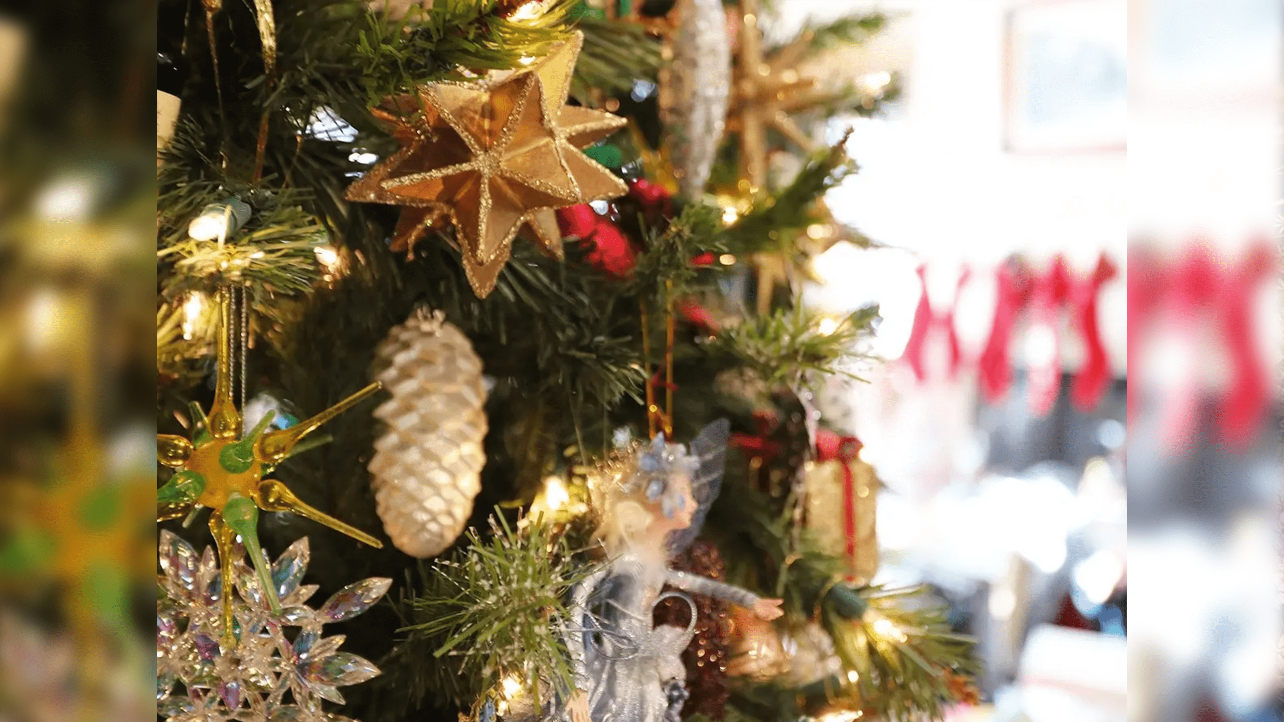 K-9 Dollars For Dogs Christmas Fundraiser Planned At Temecula’s Mexico Cafe