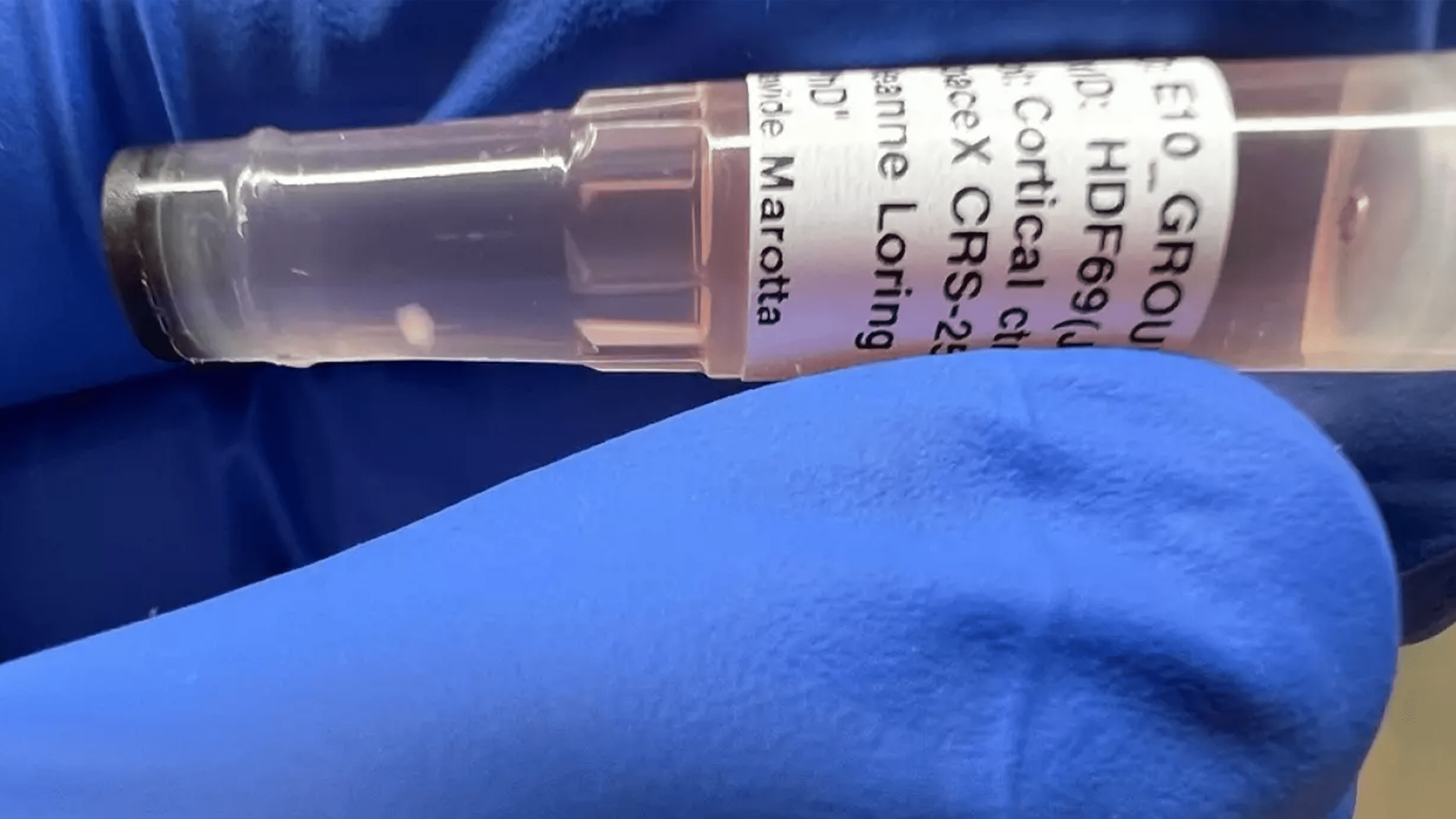 Animal testing slows medical progress. It wastes money. It’s wrong