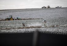 Peaches, pears and PFAS: California lawmakers may limit ‘forever’ pesticides in foods Peaches, pears and PFAS: California lawmakers may limit ‘forever’ pesticides in foods