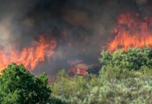 Sandy Fire Prompts Radiation Checks Near Santa Susana Lab