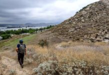 Agreement Reached to Protect Ancient 13,000-Year-Old Jurupa Oak in Riverside County