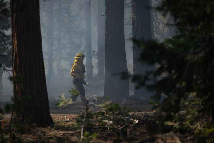 California is making progress on fire prevention. Federal retreat, shaky funding put it at risk California is making progress on fire prevention. Federal retreat, shaky funding put it at risk