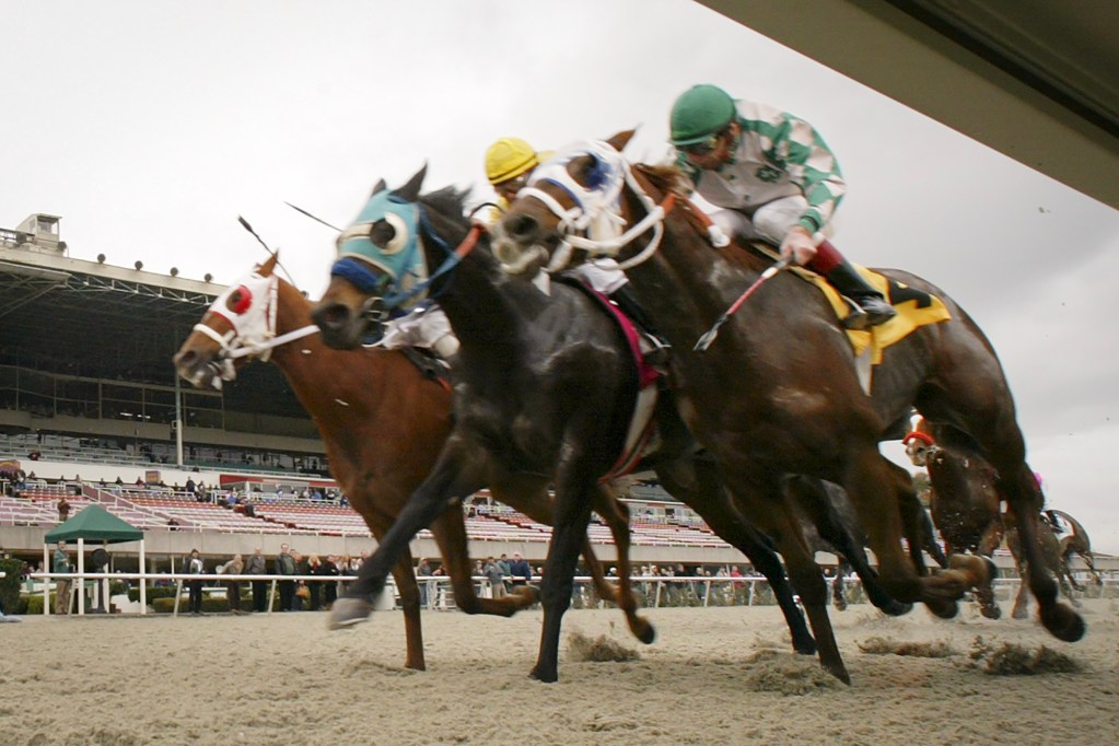 California Moves to Transform Shuttered Horse Track Into New Bay Area Public Park California to buy defunct horse track and turn it into the Bay Area’s newest public park